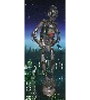 Robot C3po